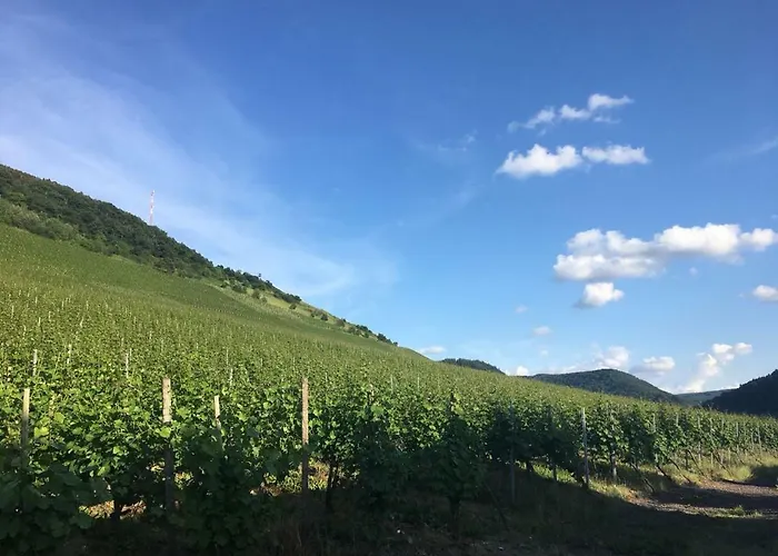 Nesa * Verbandsgemeinde Traben-Trarbach